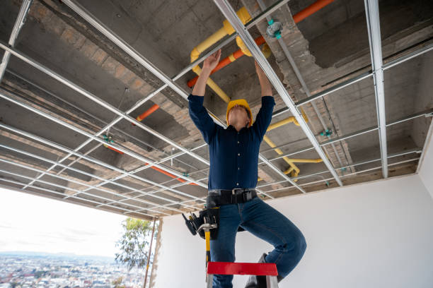 Best Residential Plumbing Services  in Anthem, AZ